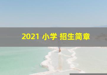 2021 小学 招生简章